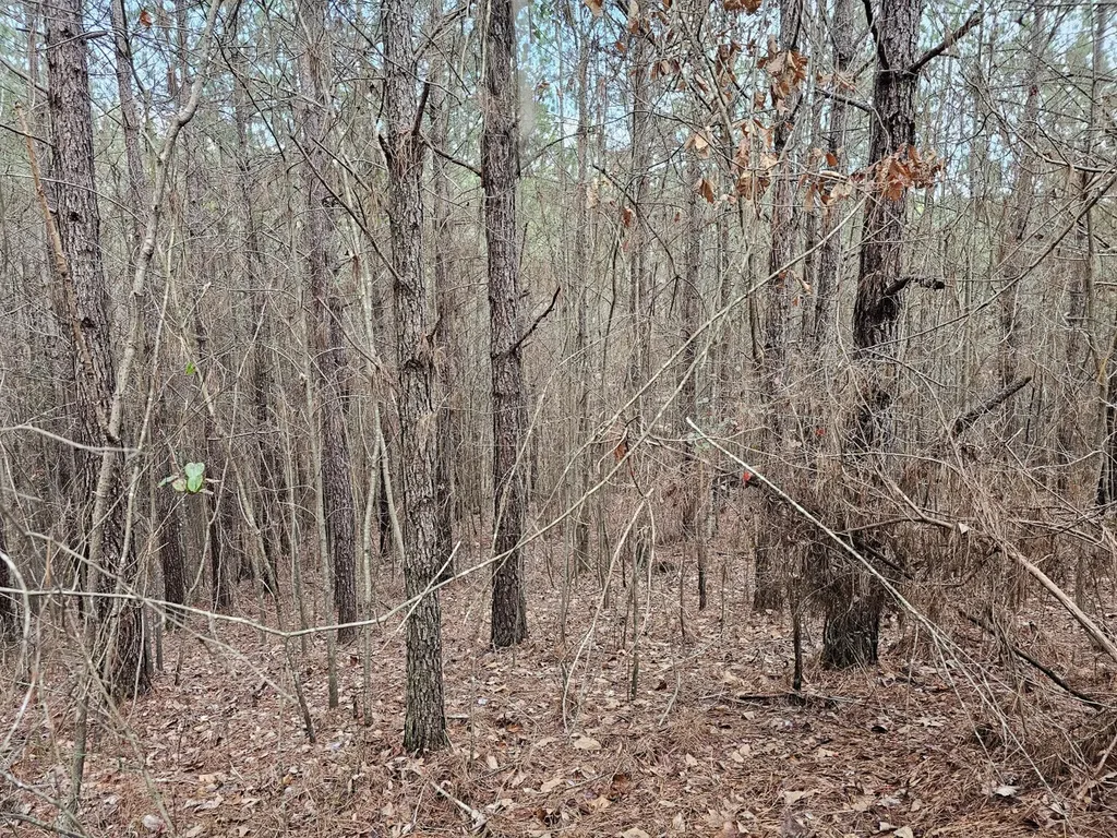 000 Pleasant Hill Road Hackleburg AL 35564