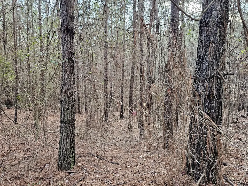 000 Pleasant Hill Road Hackleburg AL 35564