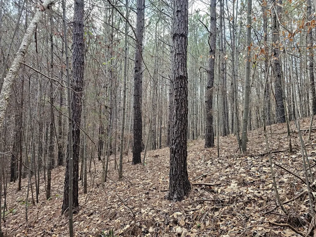 000 Pleasant Hill Road Hackleburg AL 35564