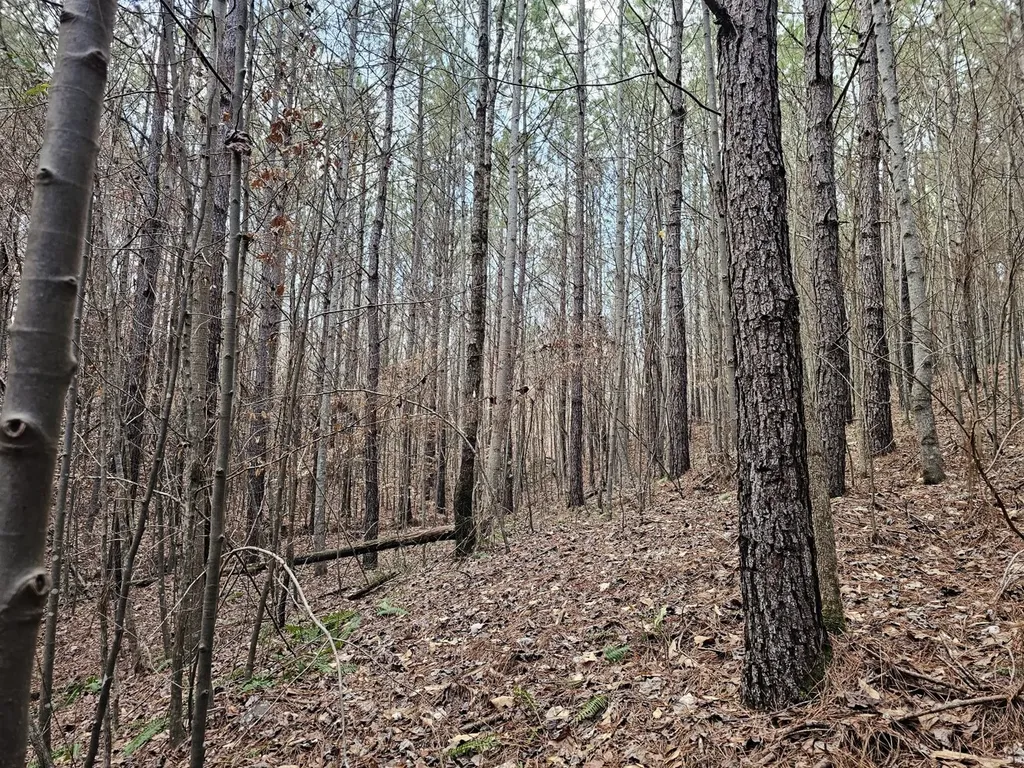 000 Pleasant Hill Road Hackleburg AL 35564