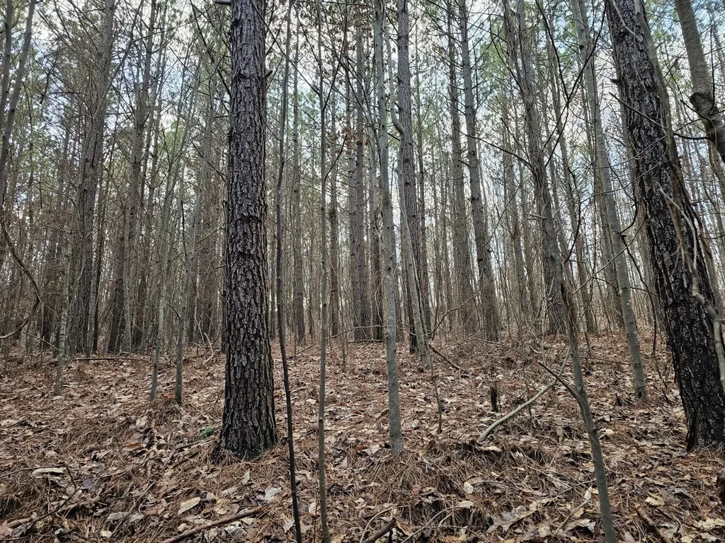 000 Pleasant Hill Road Hackleburg AL 35564