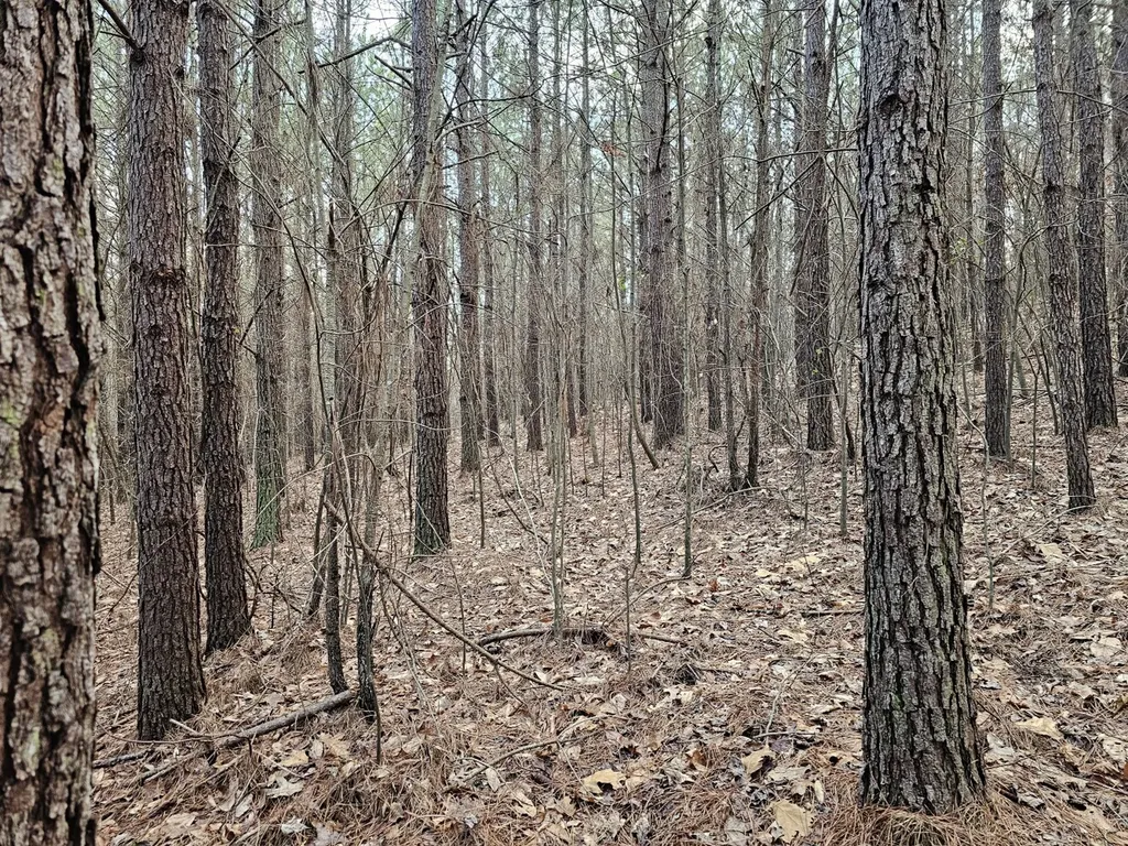 000 Pleasant Hill Road Hackleburg AL 35564