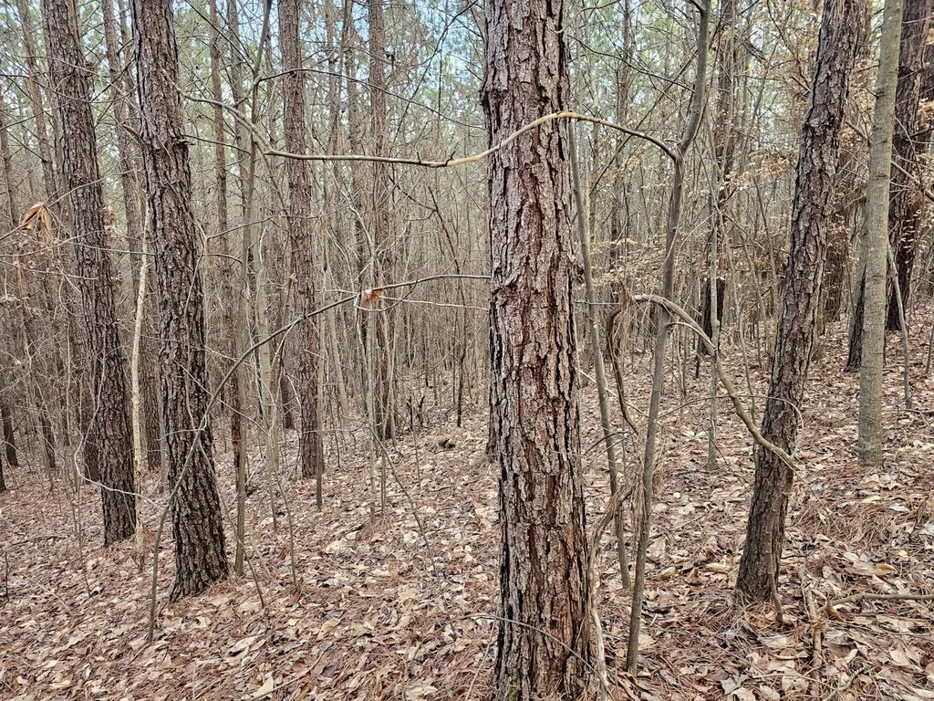 000 Pleasant Hill Road Hackleburg AL 35564