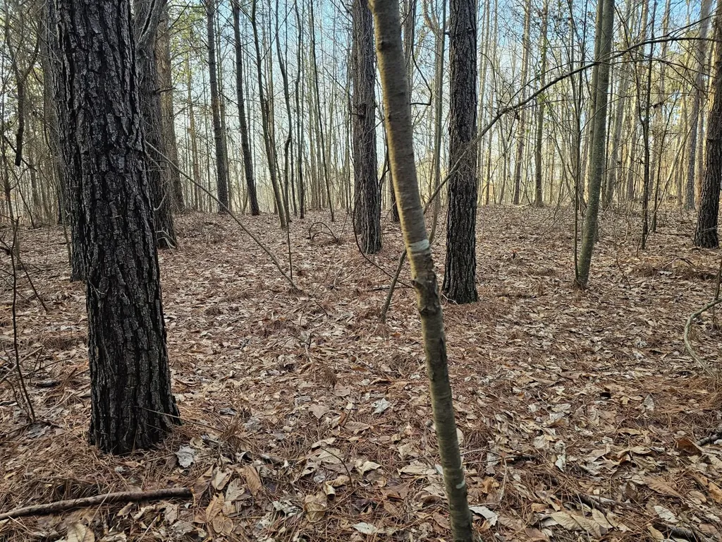 000 Pleasant Hill Road Hackleburg AL 35564