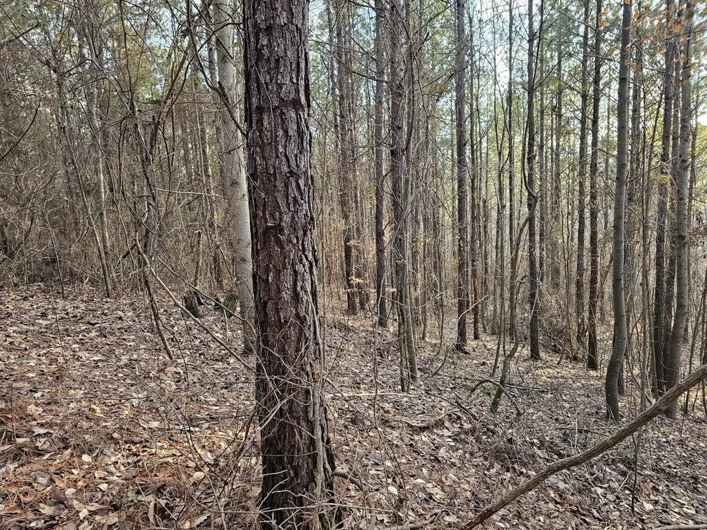 000 Pleasant Hill Road Hackleburg AL 35564