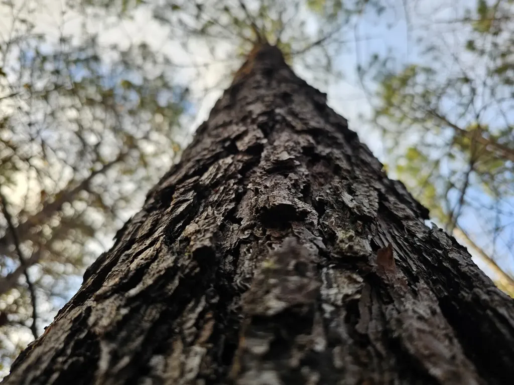 000 Pleasant Hill Road Hackleburg AL 35564