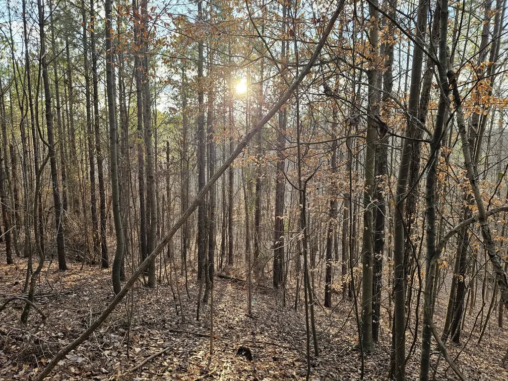 000 Pleasant Hill Road Hackleburg AL 35564