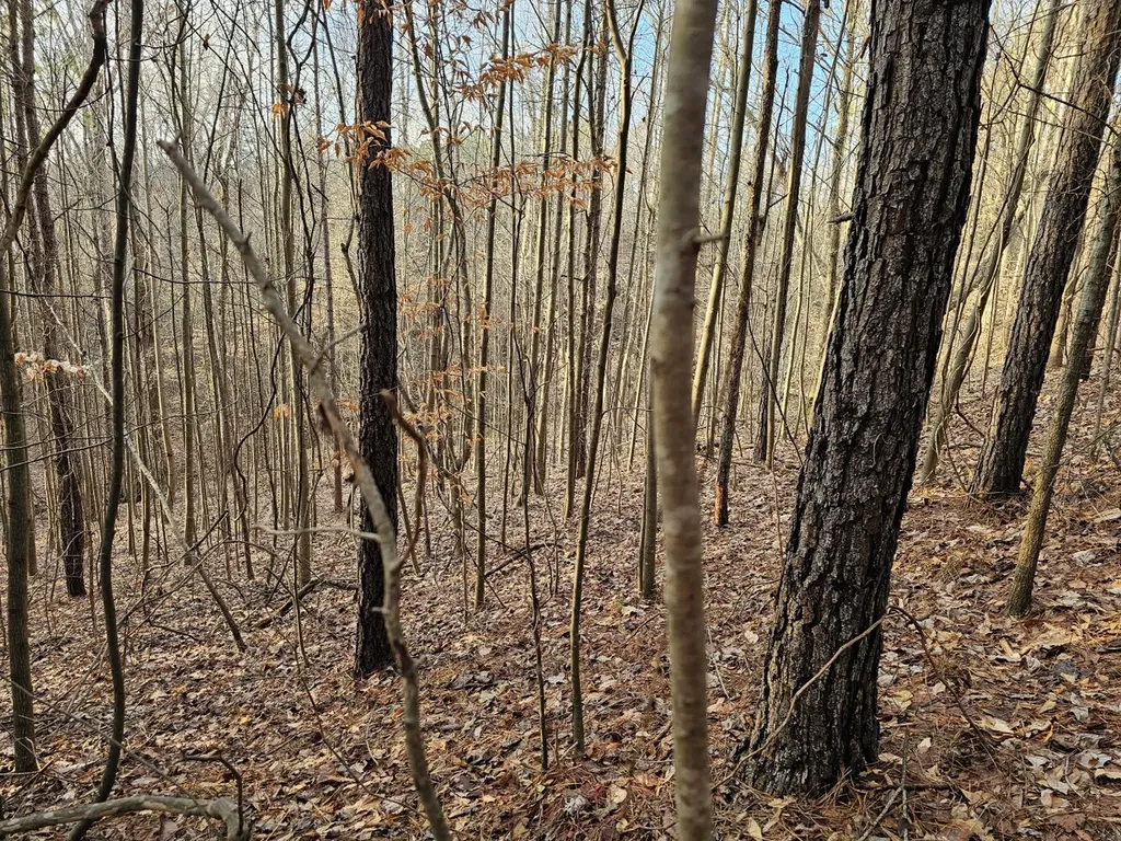 000 Pleasant Hill Road Hackleburg AL 35564