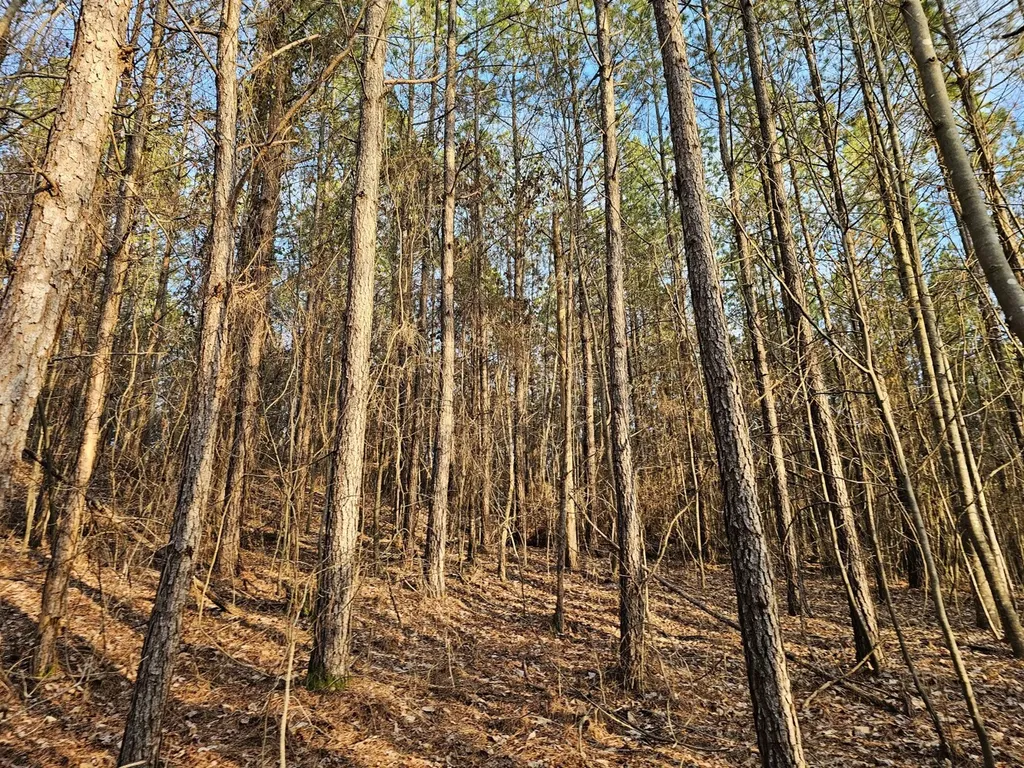 000 Pleasant Hill Road Hackleburg AL 35564