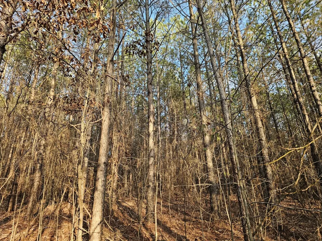 000 Pleasant Hill Road Hackleburg AL 35564