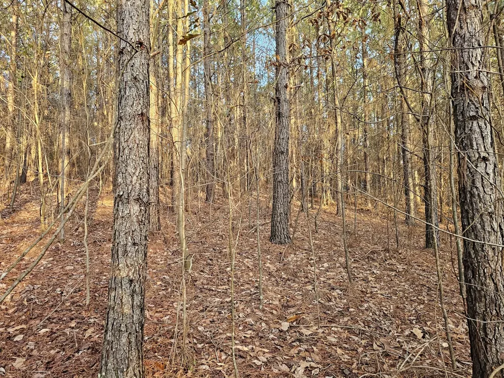 000 Pleasant Hill Road Hackleburg AL 35564