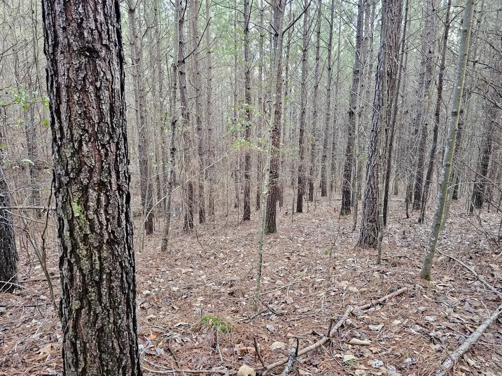 000 Pleasant Hill Road Hackleburg AL 35564