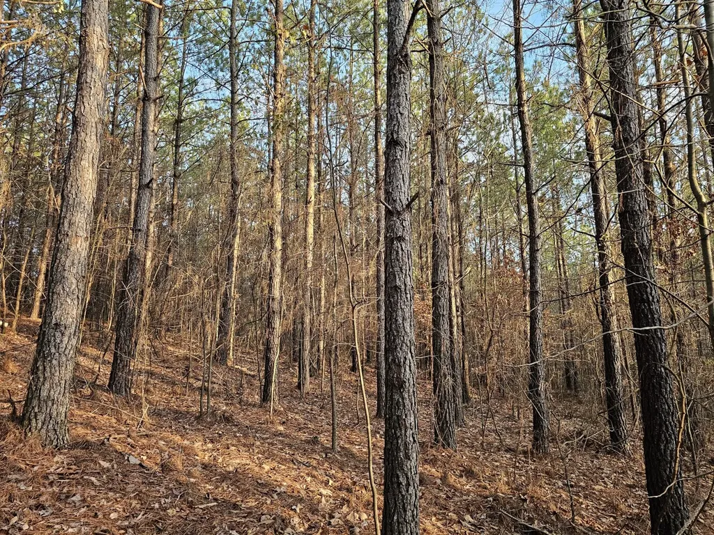 000 Pleasant Hill Road Hackleburg AL 35564