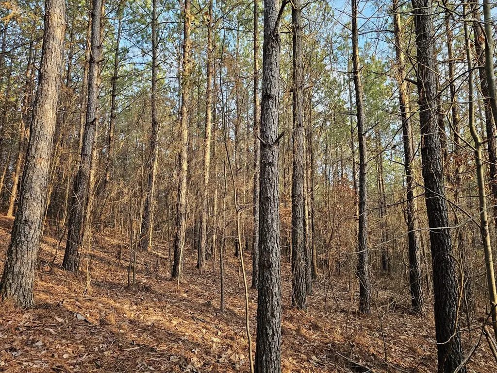 000 Pleasant Hill Road Hackleburg AL 35564