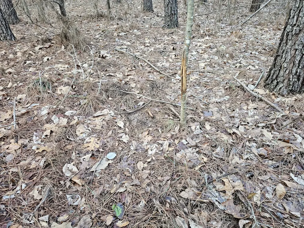 000 Pleasant Hill Road Hackleburg AL 35564