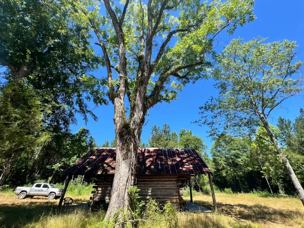 - Savage Street Millport AL 35576