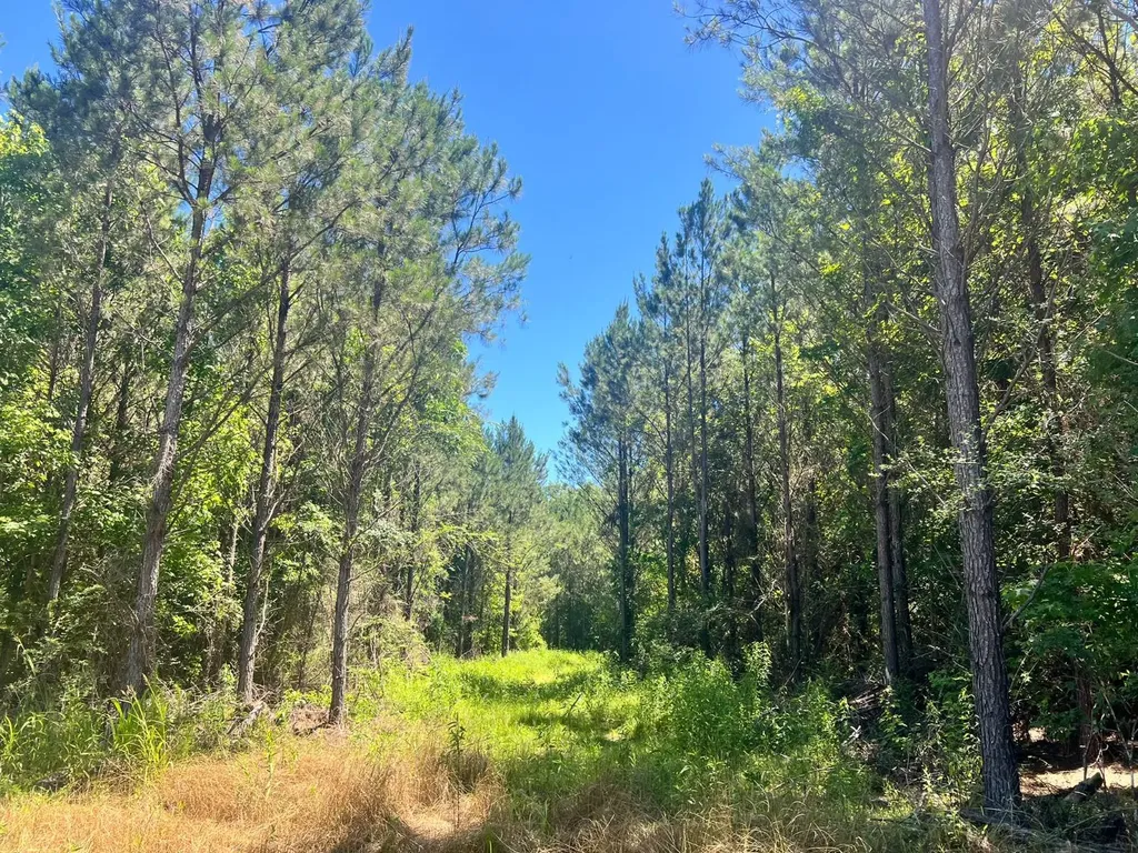 - Savage Street Millport AL 35576