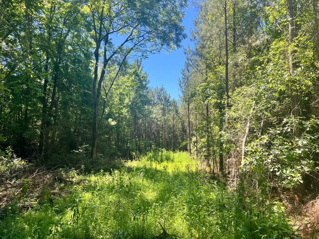 - Savage Street Millport AL 35576