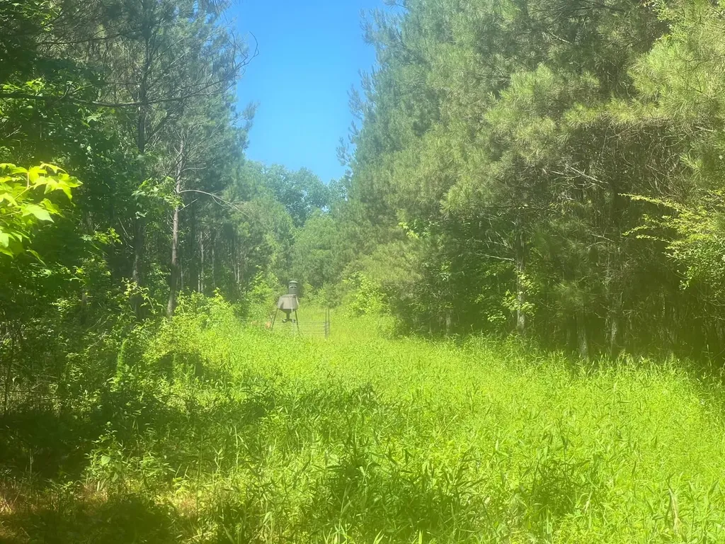 - Savage Street Millport AL 35576