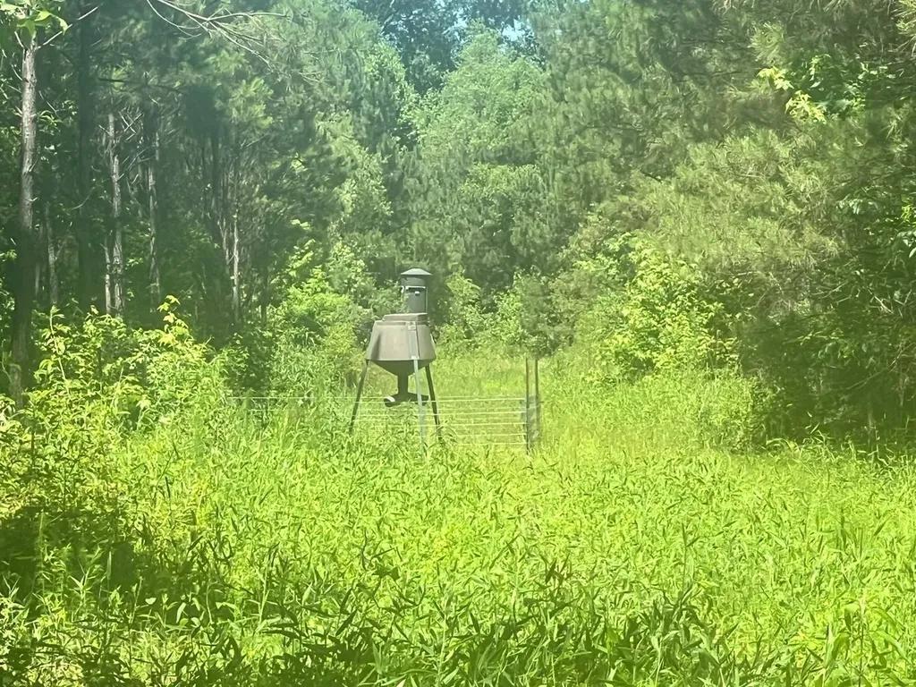 - Savage Street Millport AL 35576