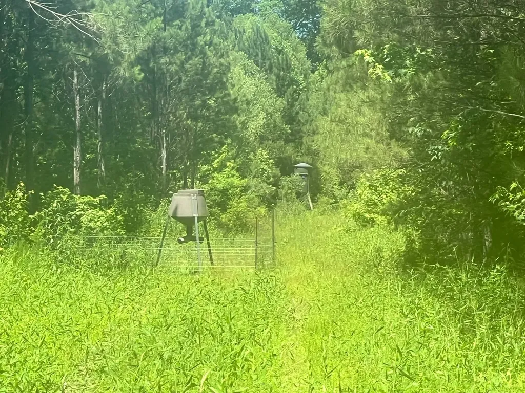 - Savage Street Millport AL 35576