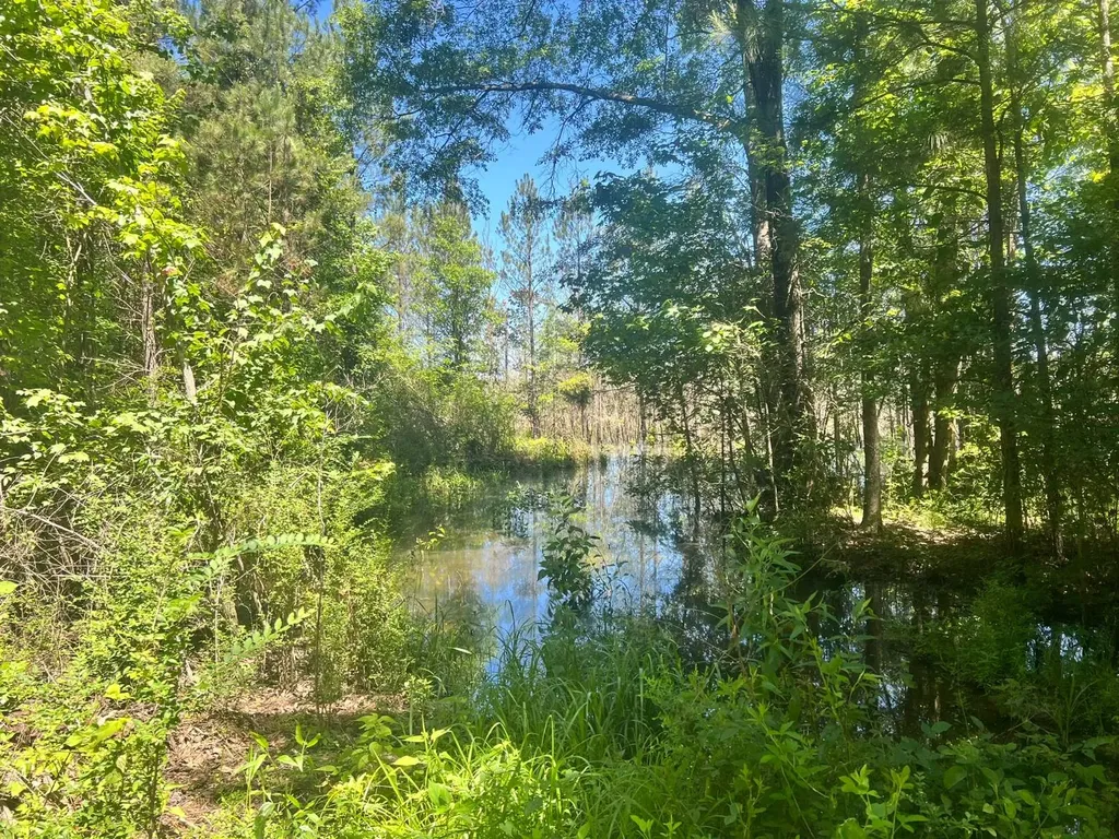 - Savage Street Millport AL 35576
