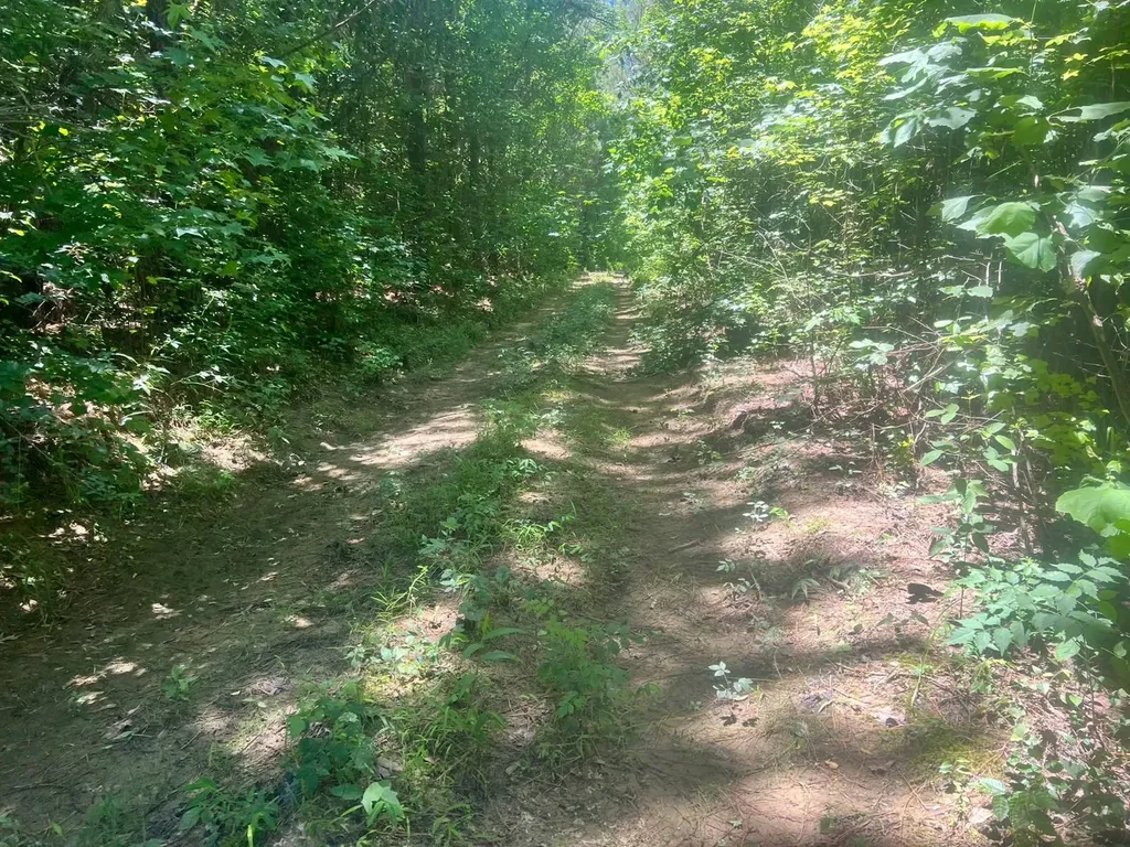 - Savage Street Millport AL 35576