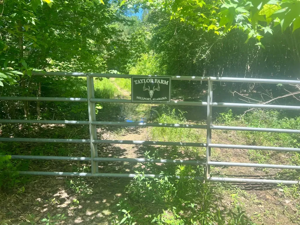 - Savage Street Millport AL 35576