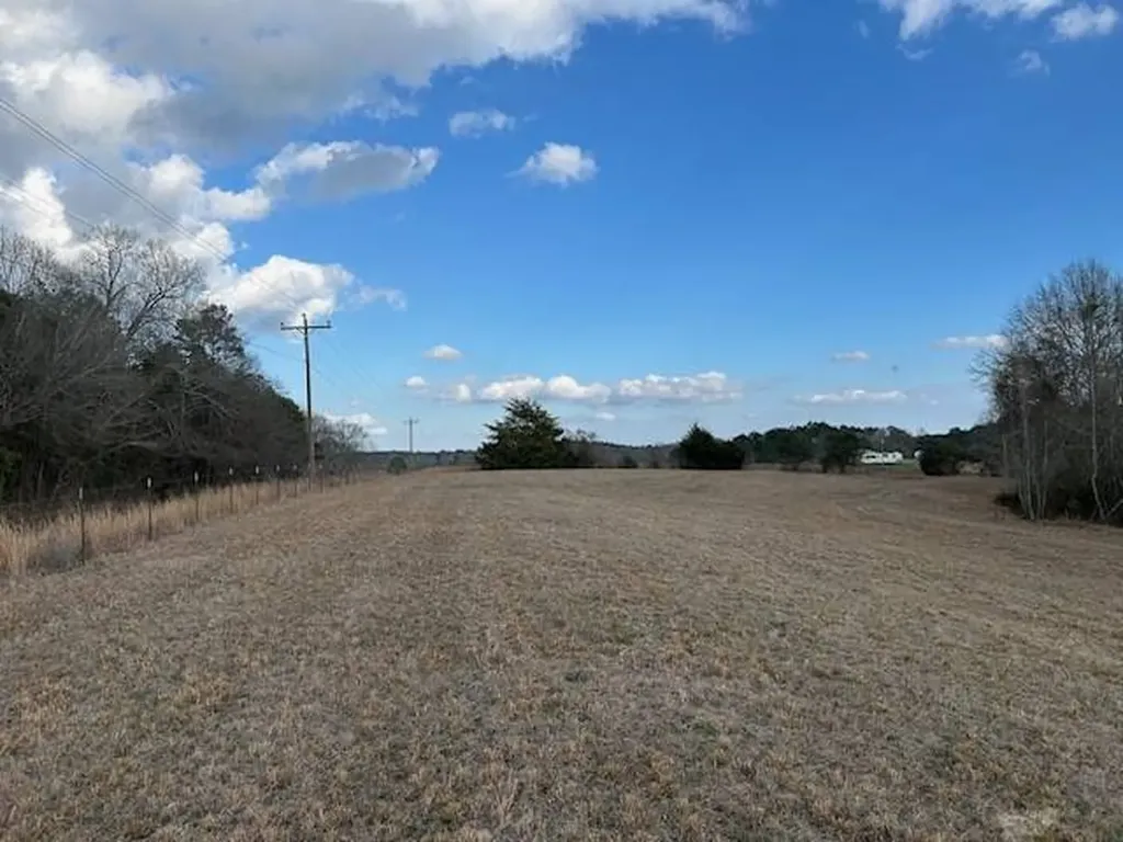 0 County Road 6 Glenwood AL 36034