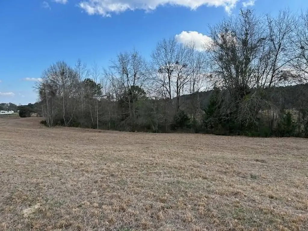 0 County Road 6 Glenwood AL 36034