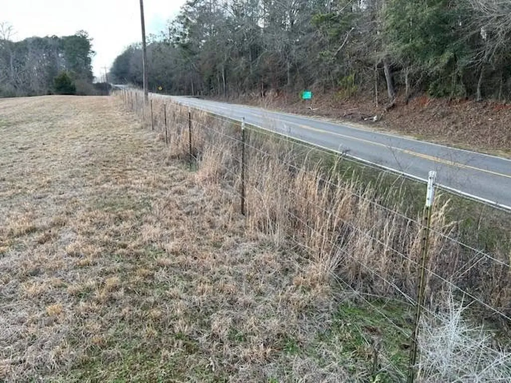 0 County Road 6 Glenwood AL 36034