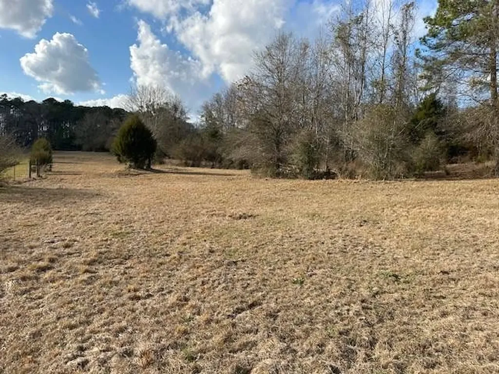 0 County Road 6 Glenwood AL 36035