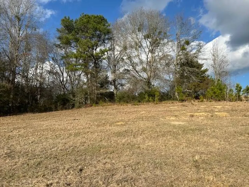 0 County Road 6 Glenwood AL 36035