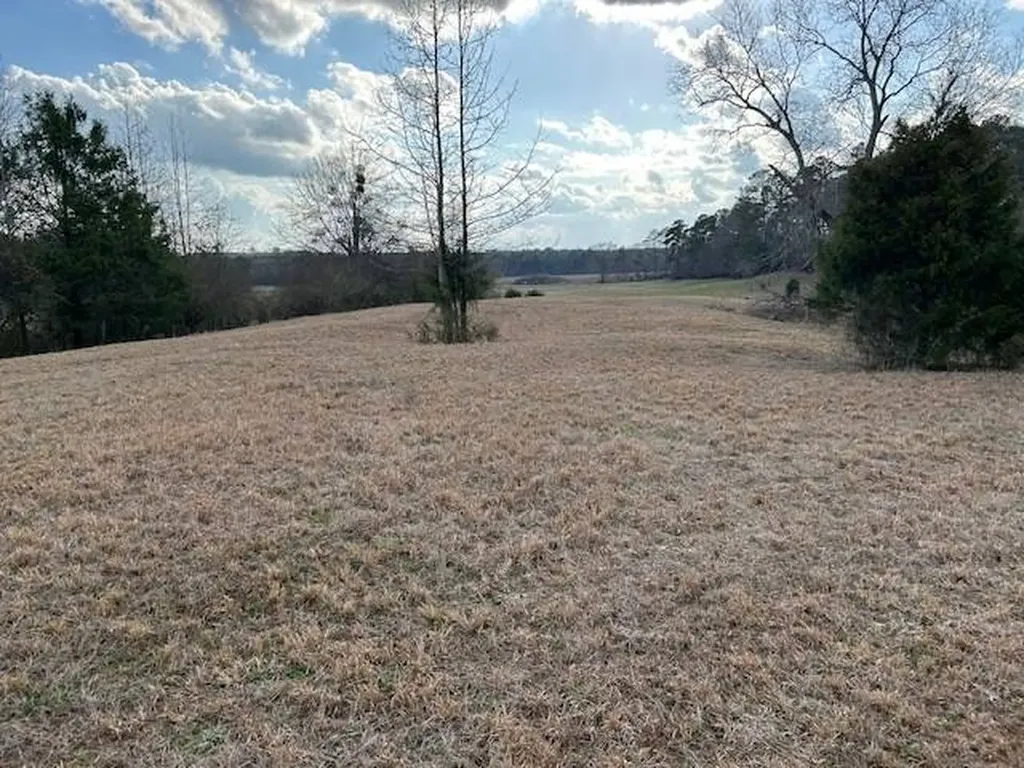0 County Road 6 Glenwood AL 36035