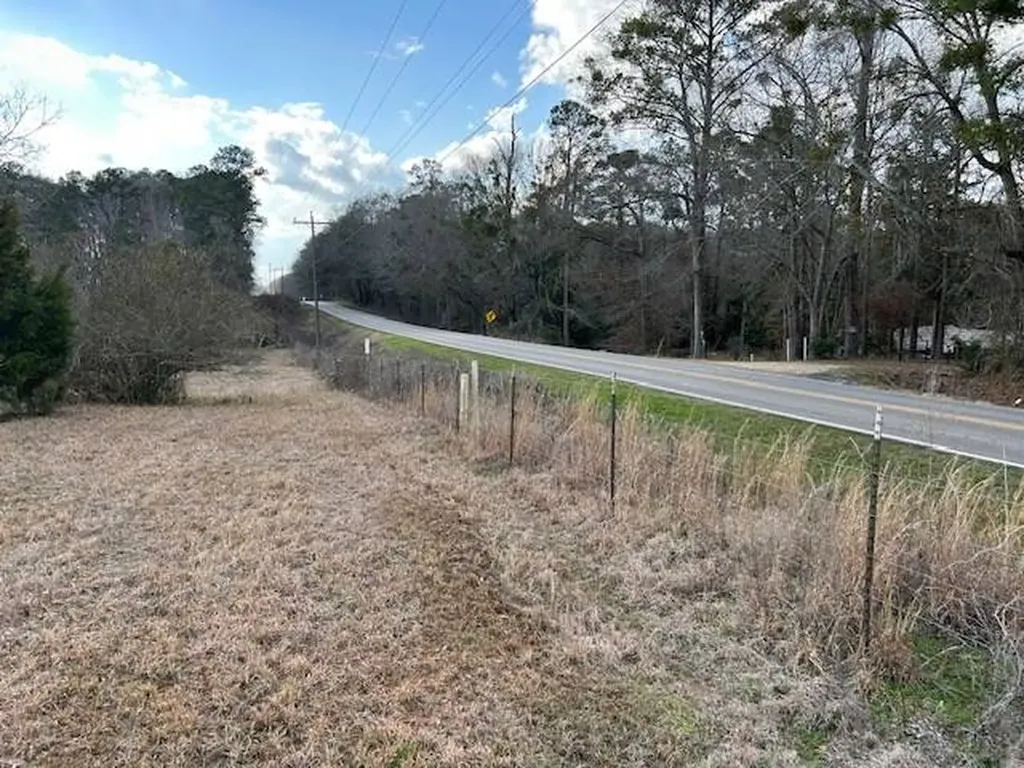 0 County Road 6 Glenwood AL 36035