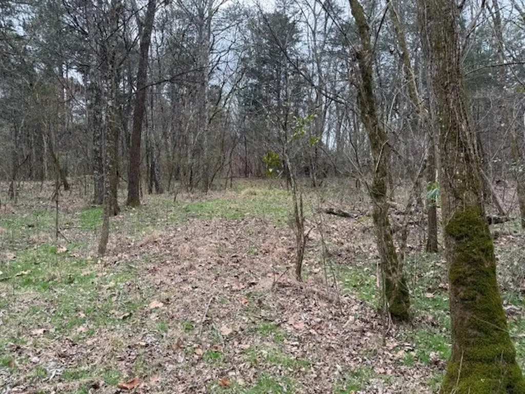 1351 A Old Waterworks Road SW Fort Payne AL 35968