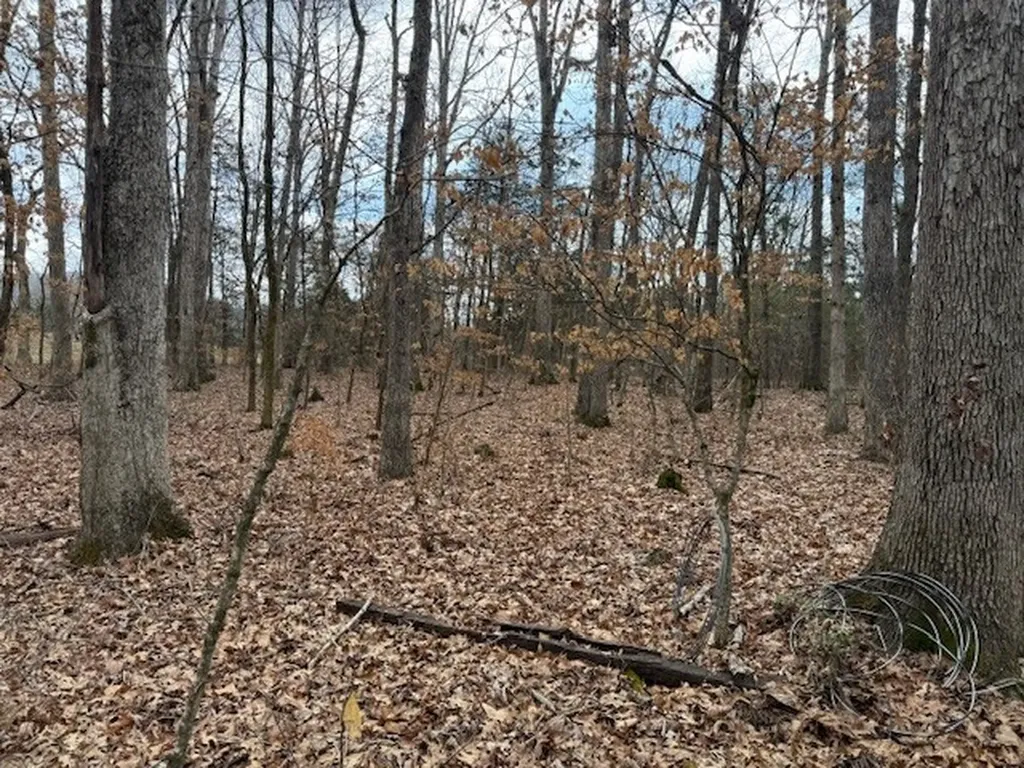 1351 A Old Waterworks Road SW Fort Payne AL 35968