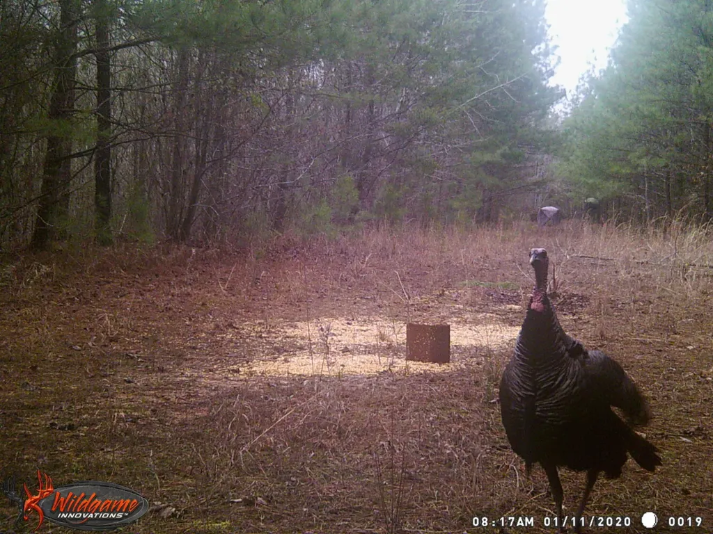 0 Sr 13 N Eldridge AL 35554