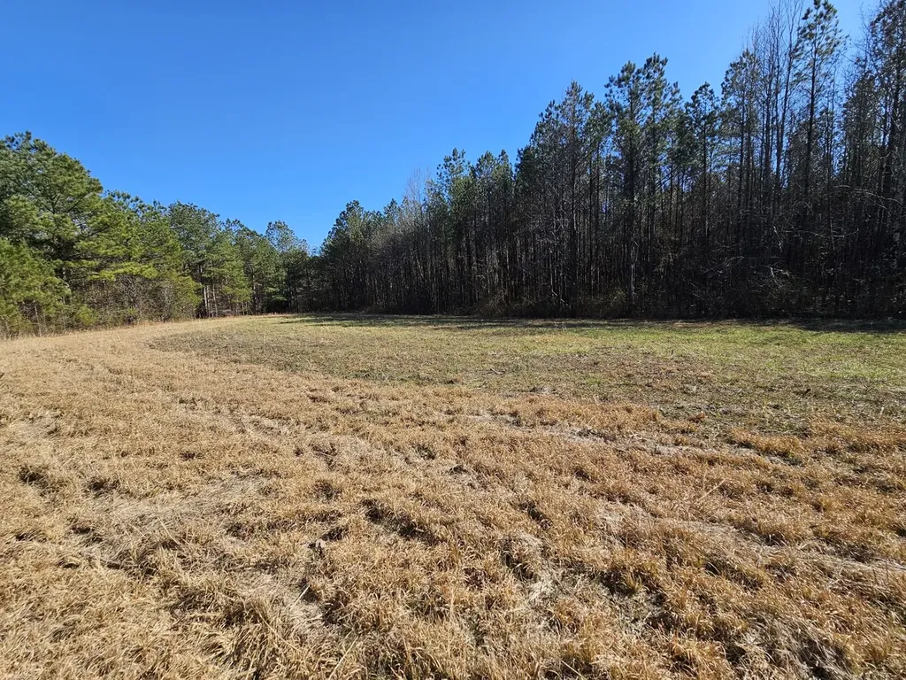 0 Sr 13 N Eldridge AL 35554