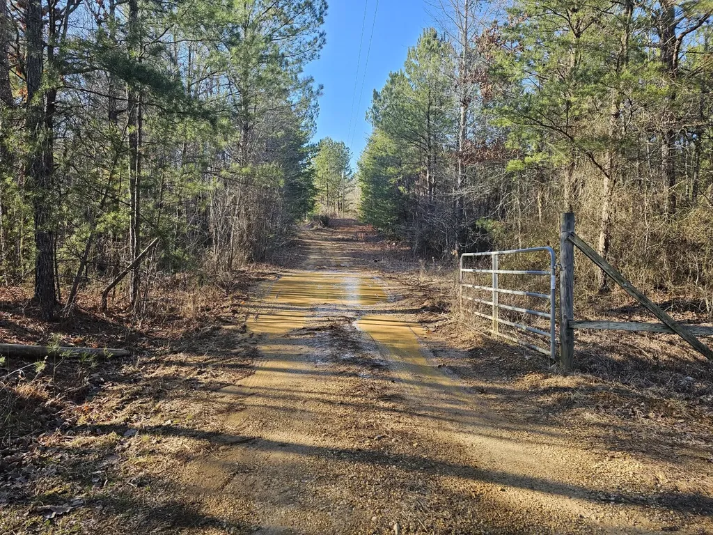 0 Sr 13 N Eldridge AL 35554