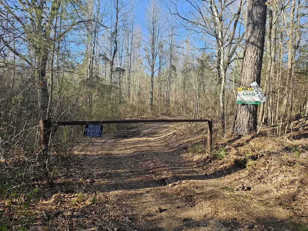 0 Sr 13 N Eldridge AL 35554