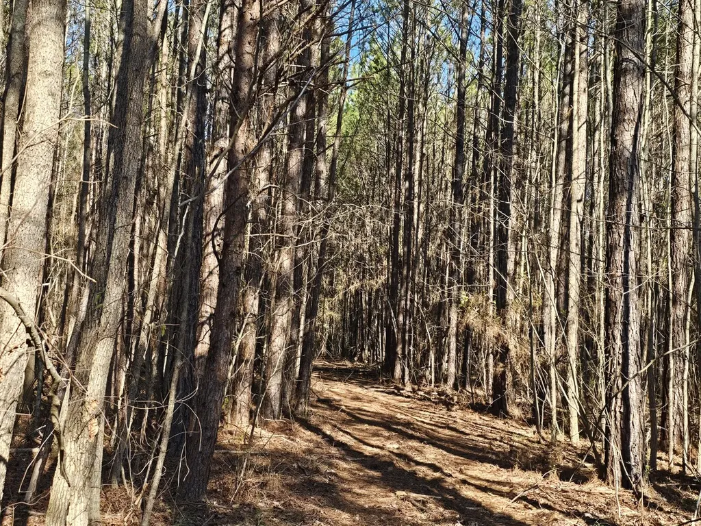 0 Sr 13 N Eldridge AL 35554