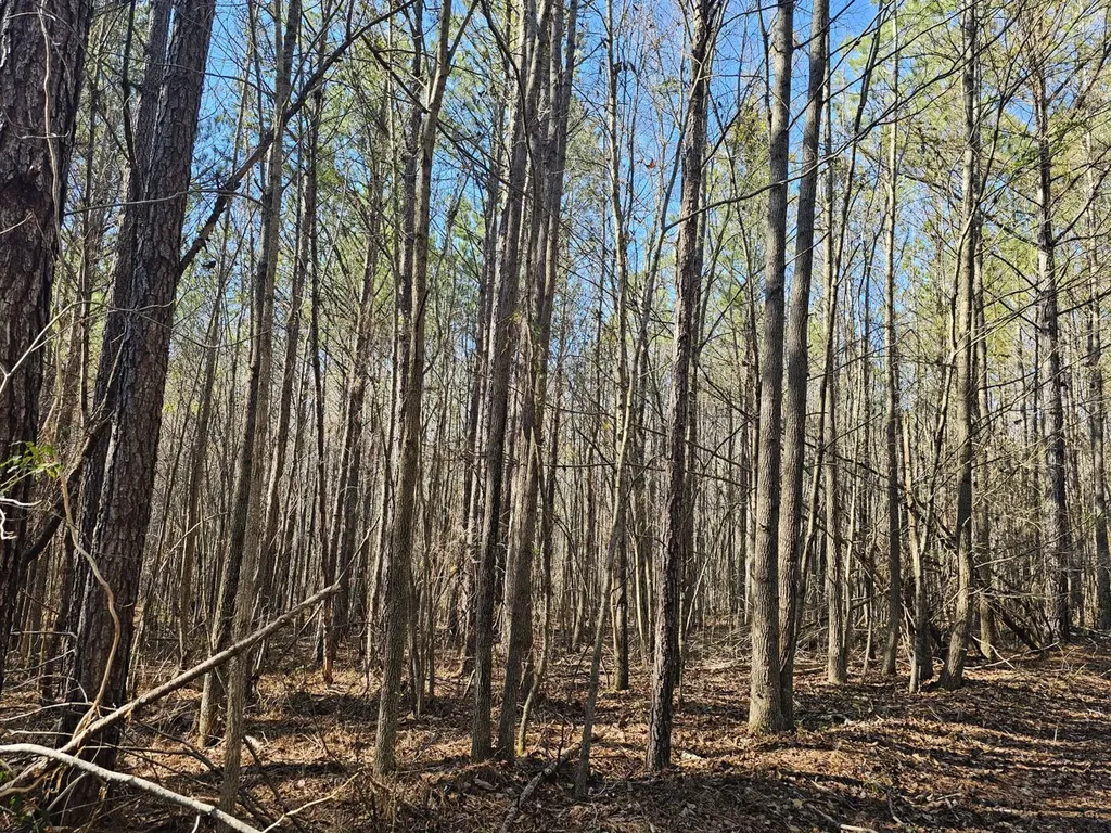 0 Sr 13 N Eldridge AL 35554