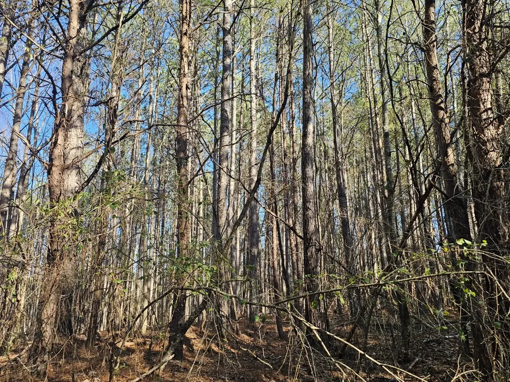 0 Sr 13 N Eldridge AL 35554