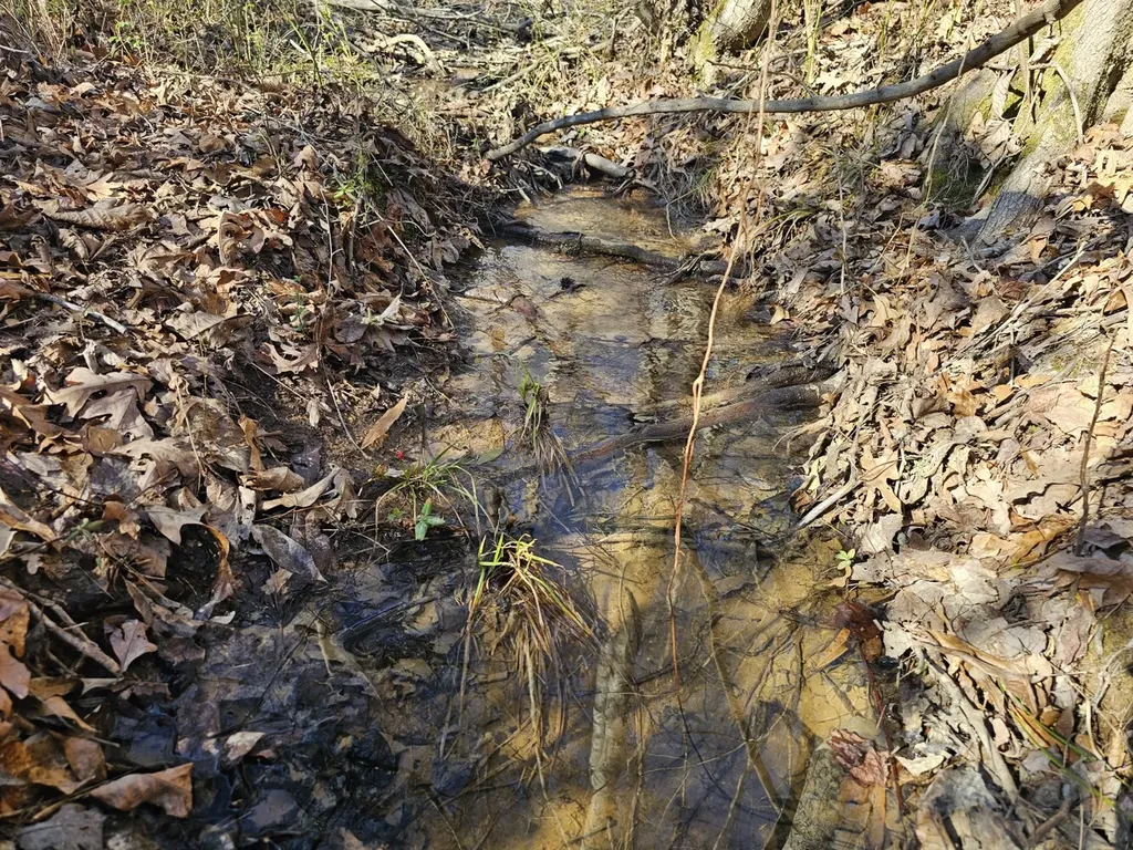 0 Sr 13 N Eldridge AL 35554