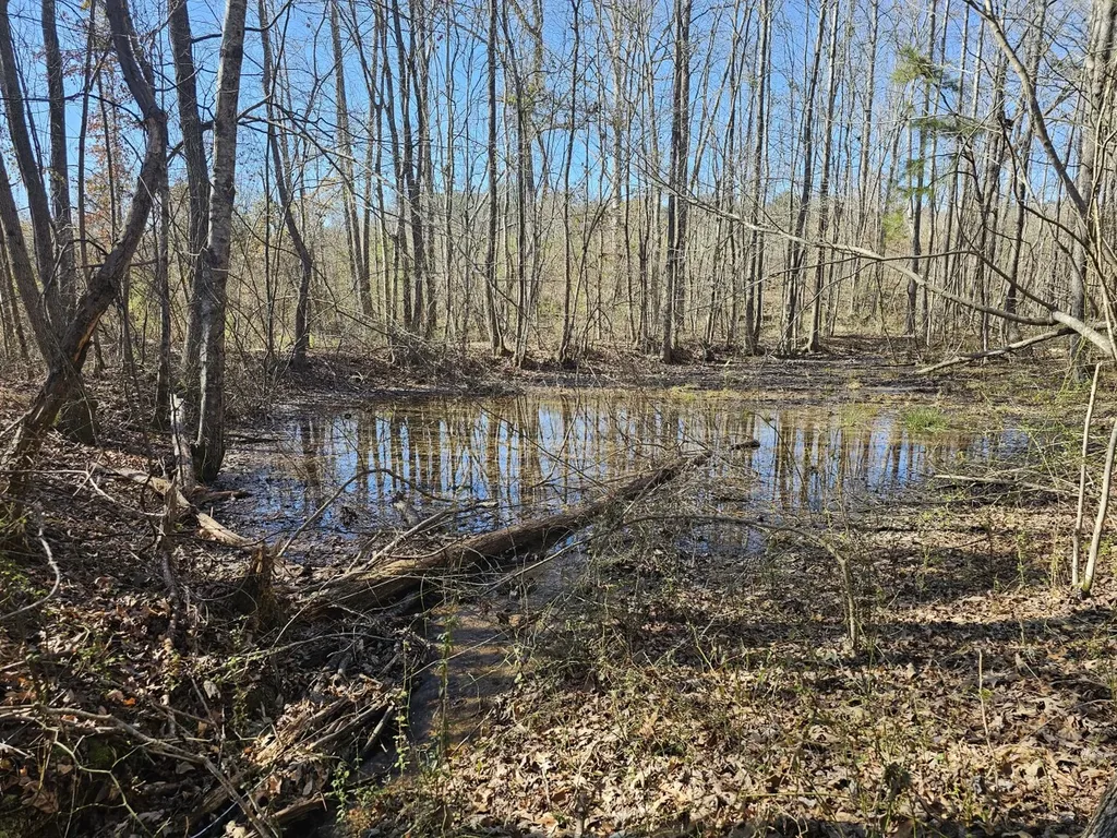 0 Sr 13 N Eldridge AL 35554