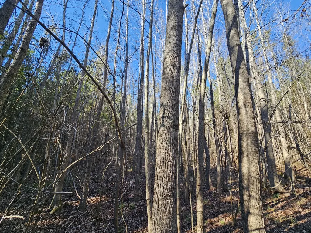 0 Sr 13 N Eldridge AL 35554