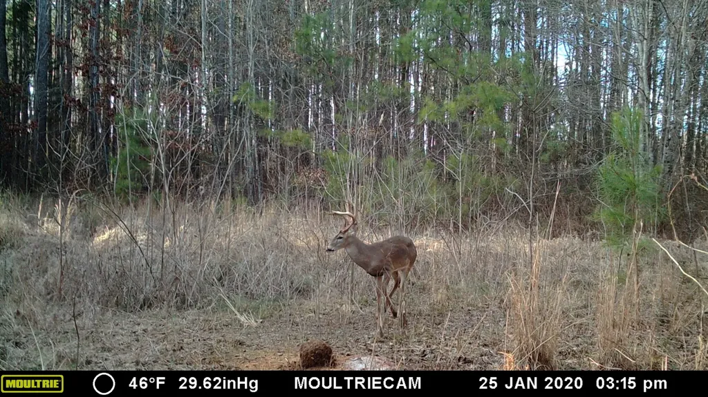 0 Sr 13 N Eldridge AL 35554