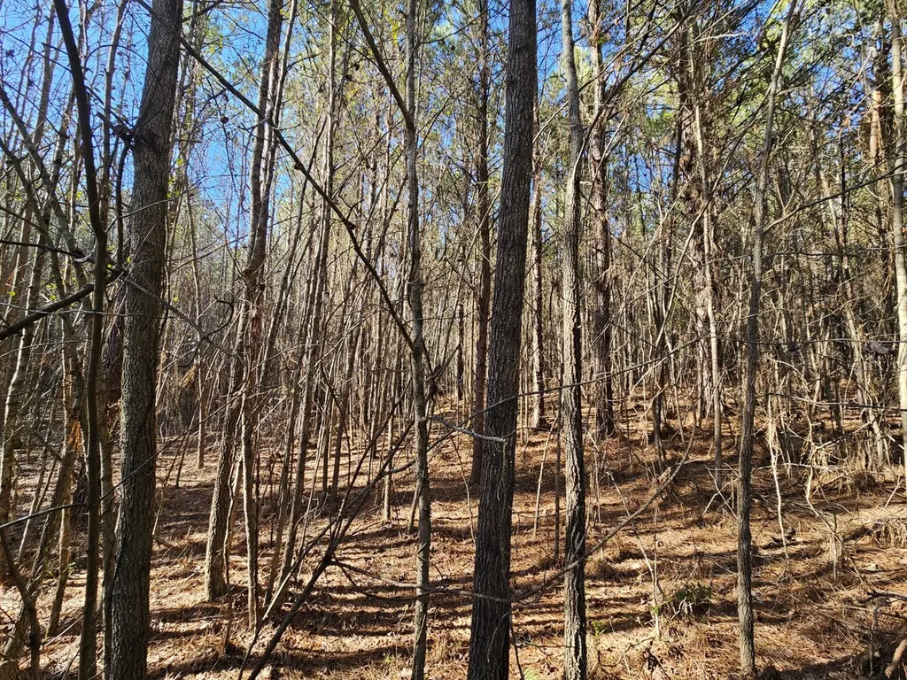 0 Sr 13 N Eldridge AL 35554