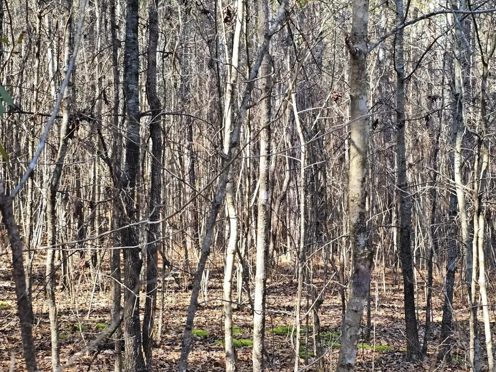 0 Sr 13 N Eldridge AL 35554